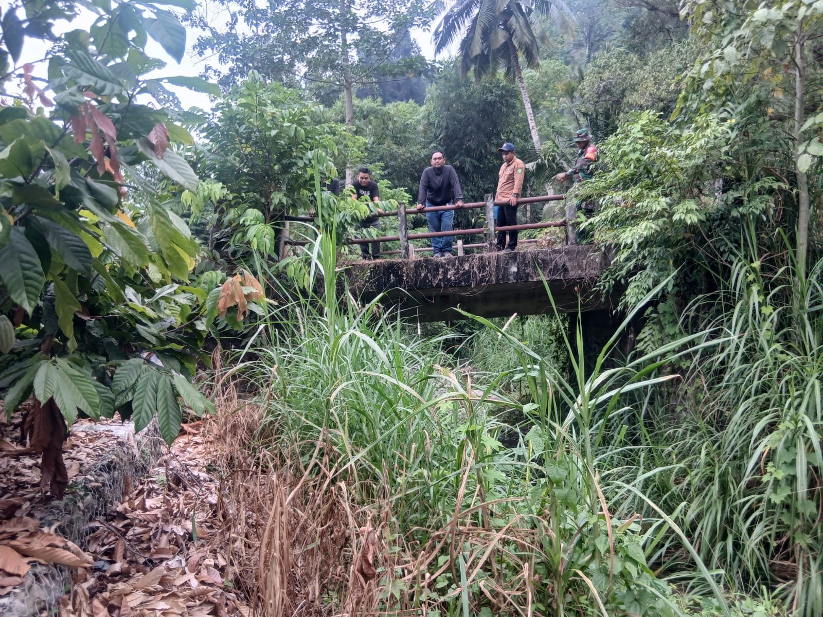Jembatan Baru di Kelapa Dua: Dorong Perubahan Ekonomi Masyarakat Setempat