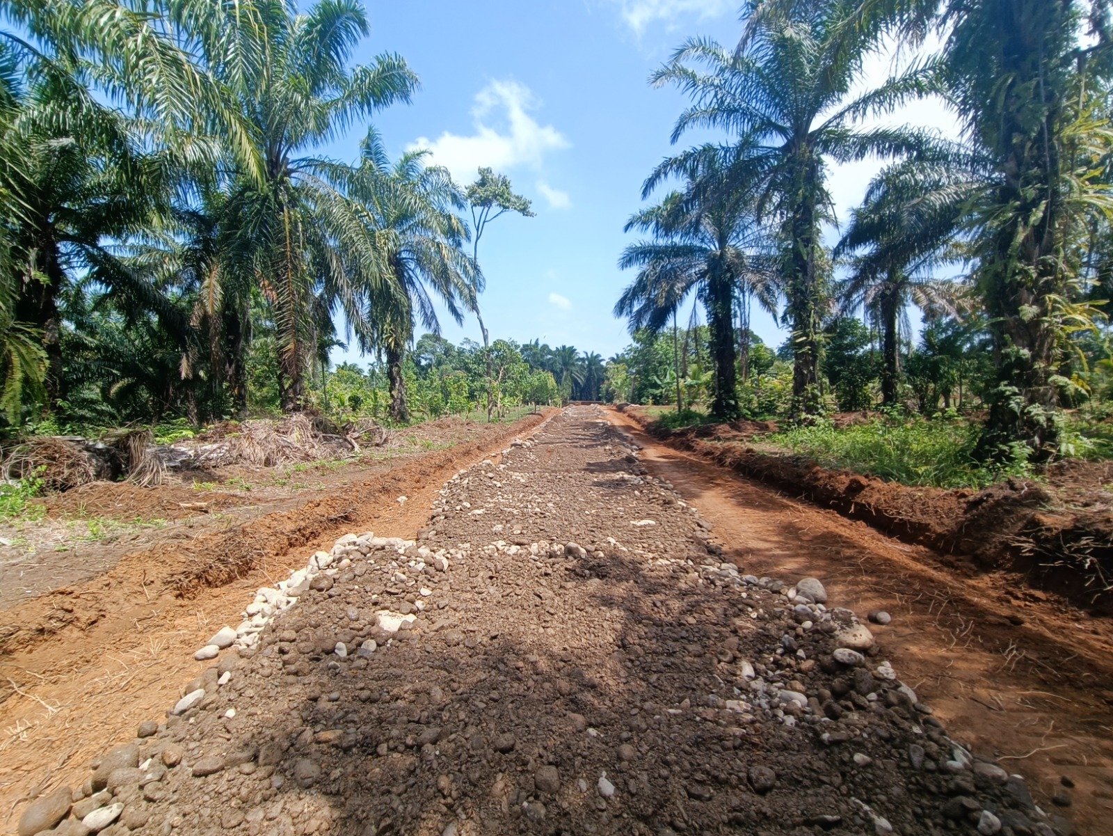 Proyek TMMD ke-130 Ciptakan Akses Baru untuk Dorong Ekonomi di Bengkulu