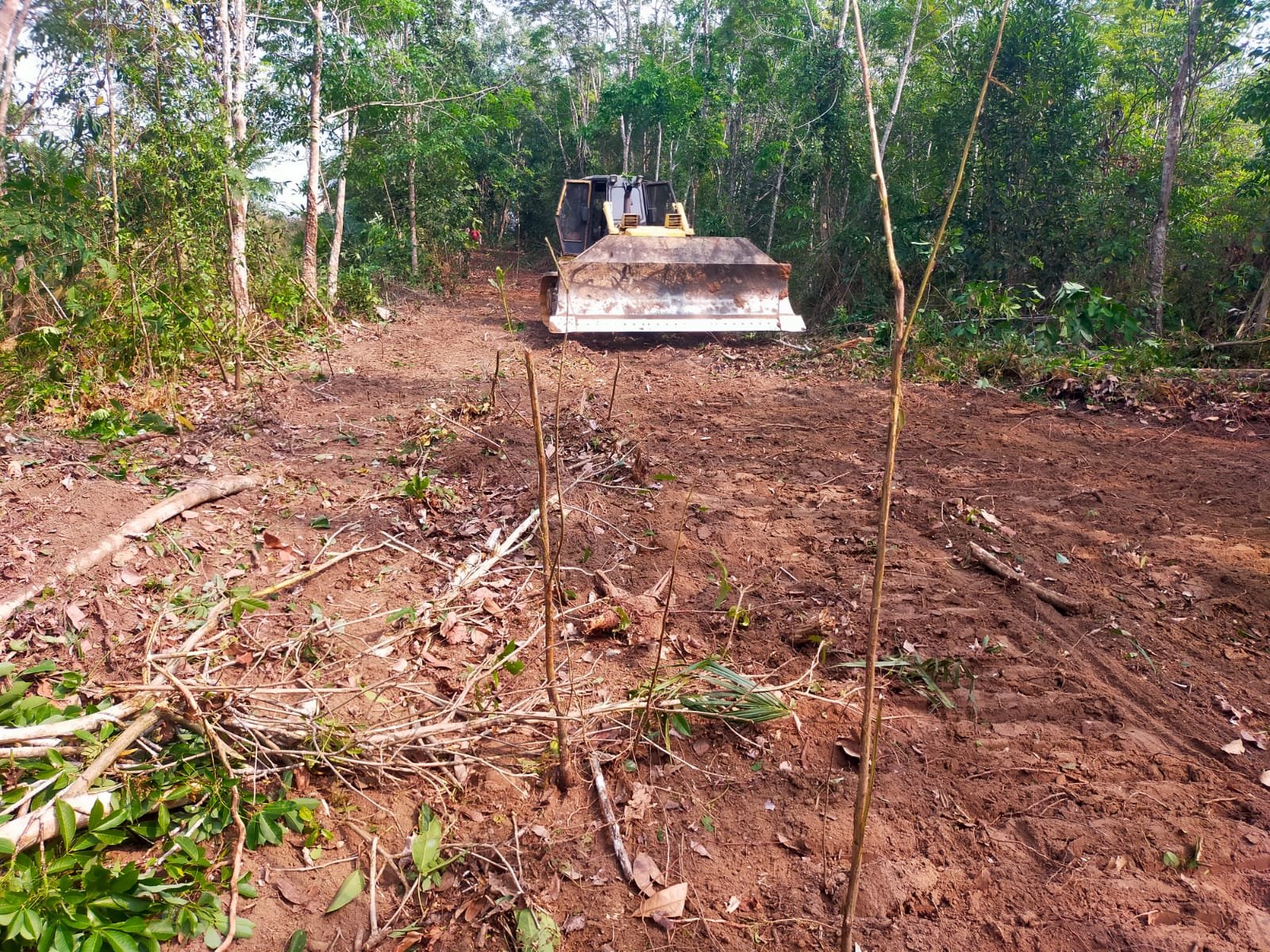 TNI Dukung Pembangunan Desa dengan Pembukaan Jalan Baru di Way Kanan
