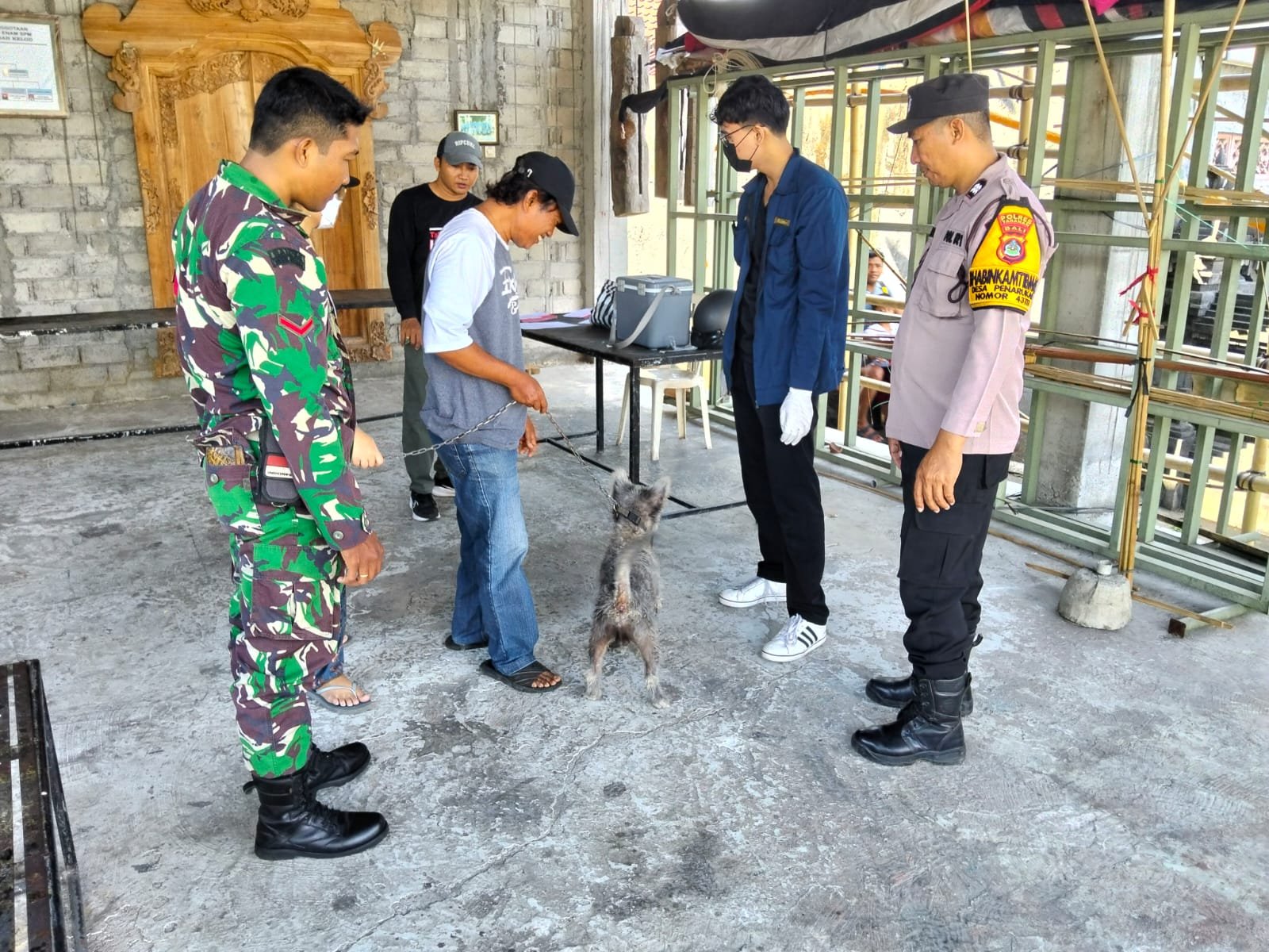 Vaksinasi Rabies Terintegrasi di Tabanan, Babinsa Dukung Keamanan Hewan Peliharaan